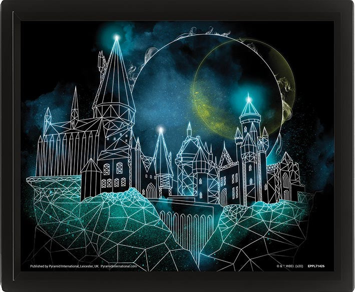 3D obraz Harry Potter - Bradavice