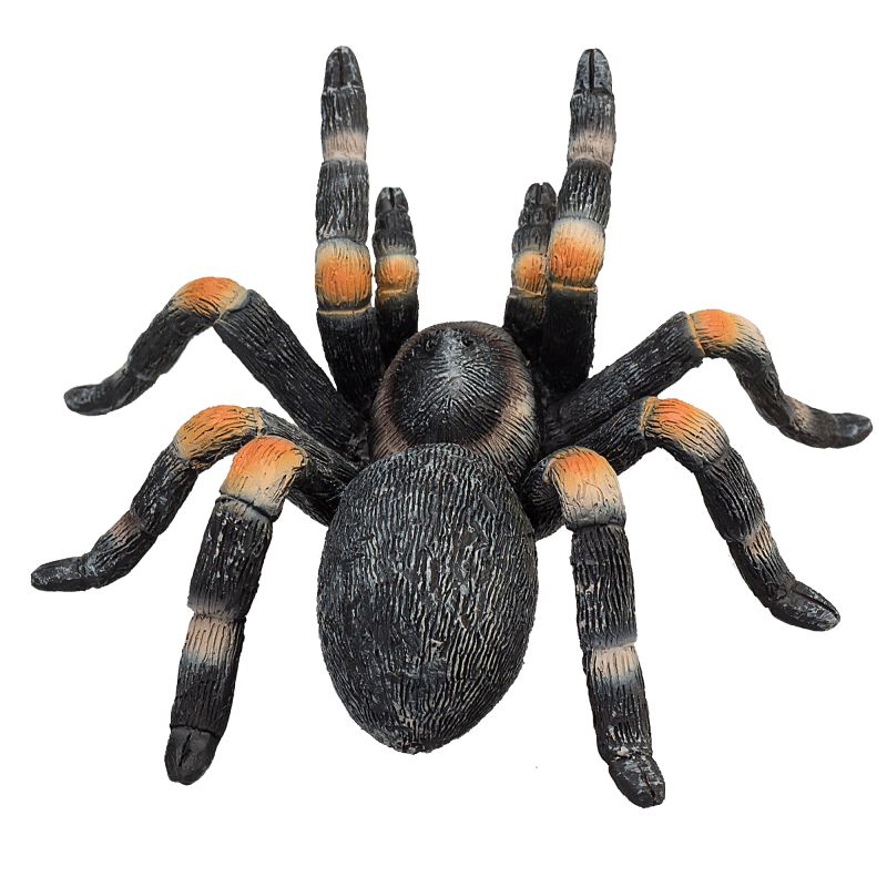 Tarantule rudokrká figurka