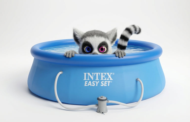 Funki kouká z bazénu INTEX Easy Set | Funkids