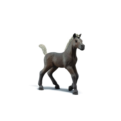 Sběratelské hříbě Darcy