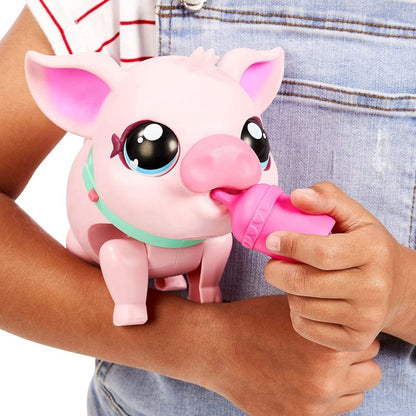 Little Live Pets prasátko PIGGLY