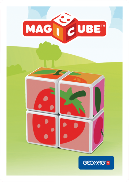 Geomag Magicube Ovoce