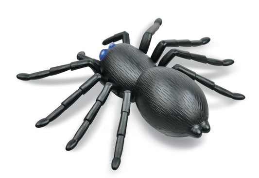 RC Pavouk