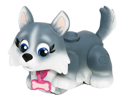 Pet Parade, 1ks Mops
