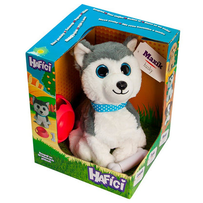 Hafíci II. Maxík - Husky