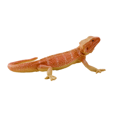 Agama vousatá figurka