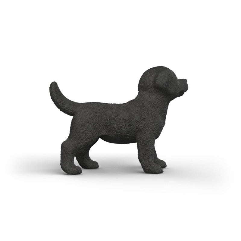 Zvířátko - Černé štěně labradorského retrívra
