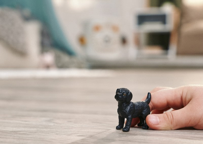 Zvířátko - Černá fena labradorského retrívra