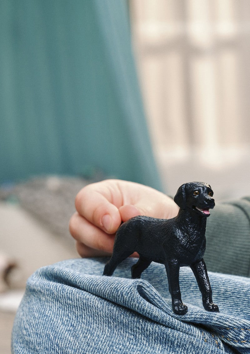 Zvířátko - Černé štěně labradorského retrívra