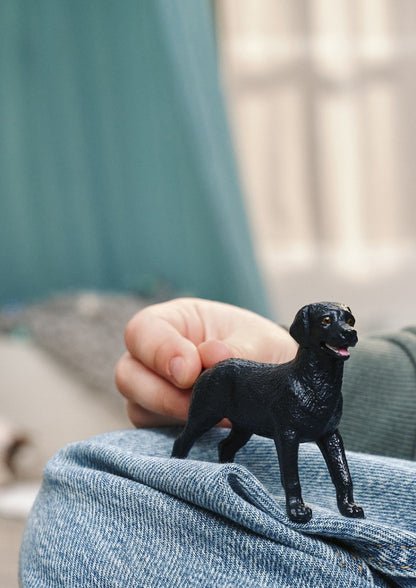 Zvířátko - Černé štěně labradorského retrívra
