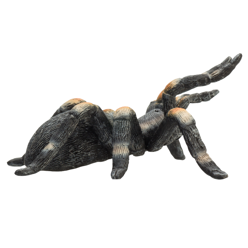 Tarantule rudokrká figurka