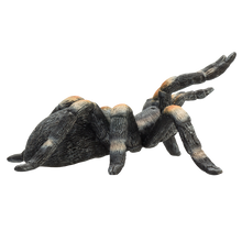 Tarantule rudokrká figurka