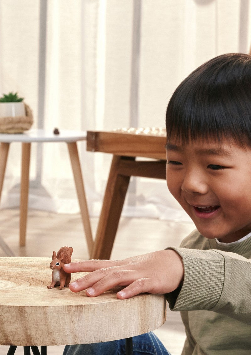 Zvířátko - Veverka