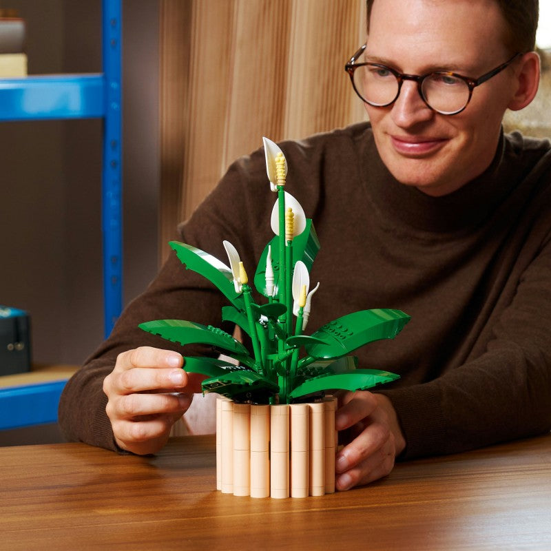 LEGO® Botanicals 11504 Lopatkovec