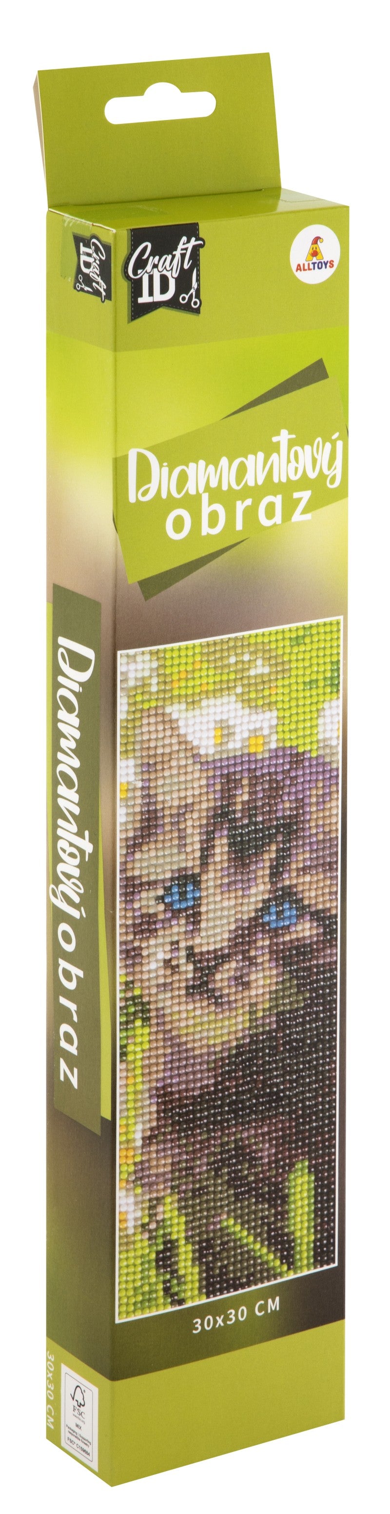 Diamantové malování 30x30cm pláž