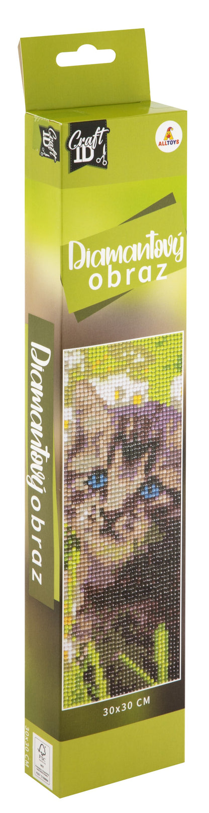 Diamantové malování 30x30cm pláž