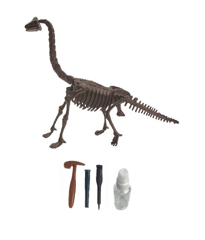 Archeologický set - Brachiosaurus