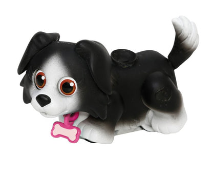 Pet Parade, 1ks Dalmatin