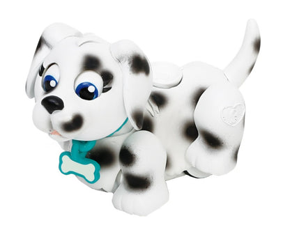 Pet Parade, 1ks Border kolie