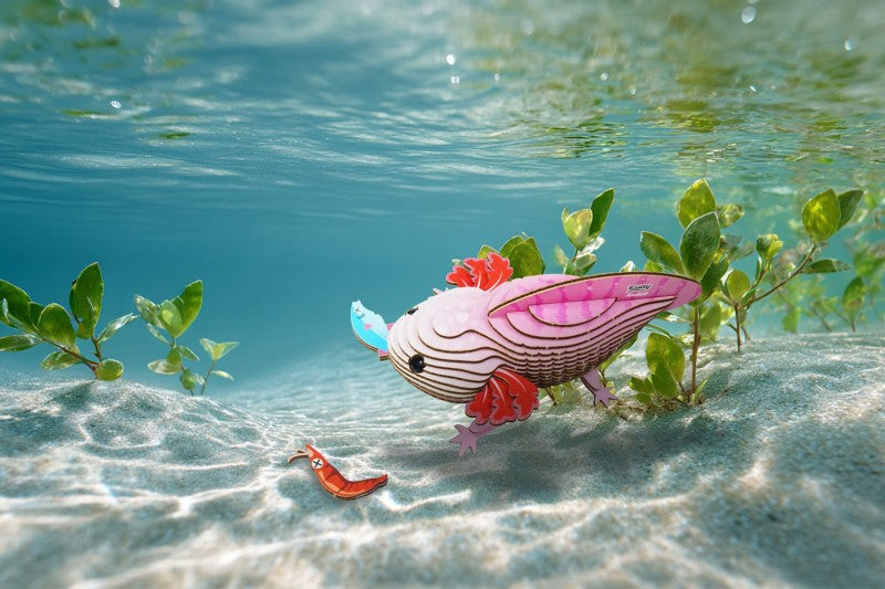 EUGY Axolotl 3D kartonová skládačka