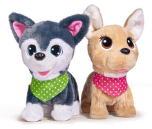 Štěňátko CCL Puppy Friends, 2 druhy Čivava