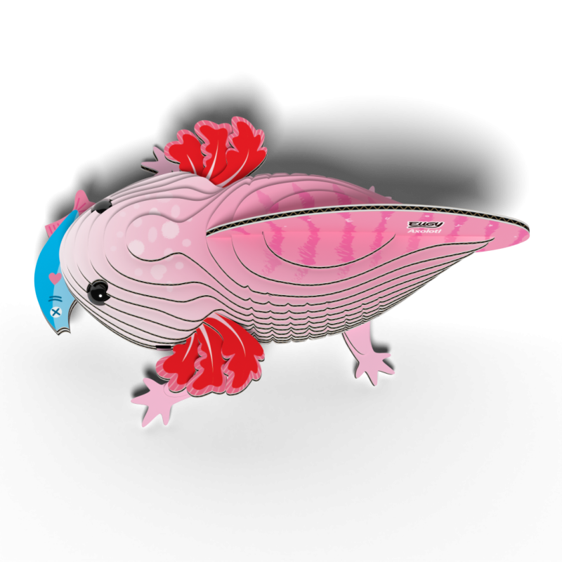 EUGY Axolotl 3D kartonová skládačka