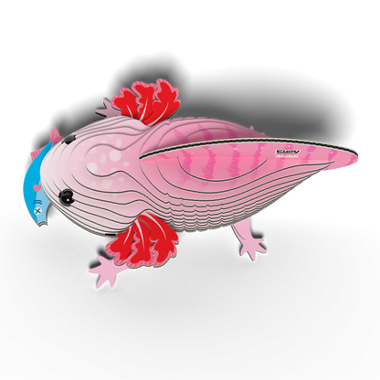 EUGY Axolotl 3D kartonová skládačka