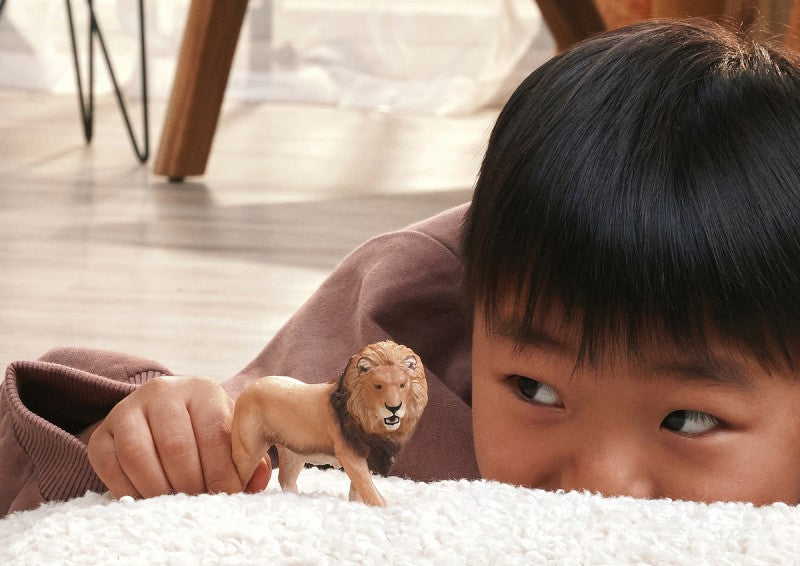 Zvířátko - Lev africký