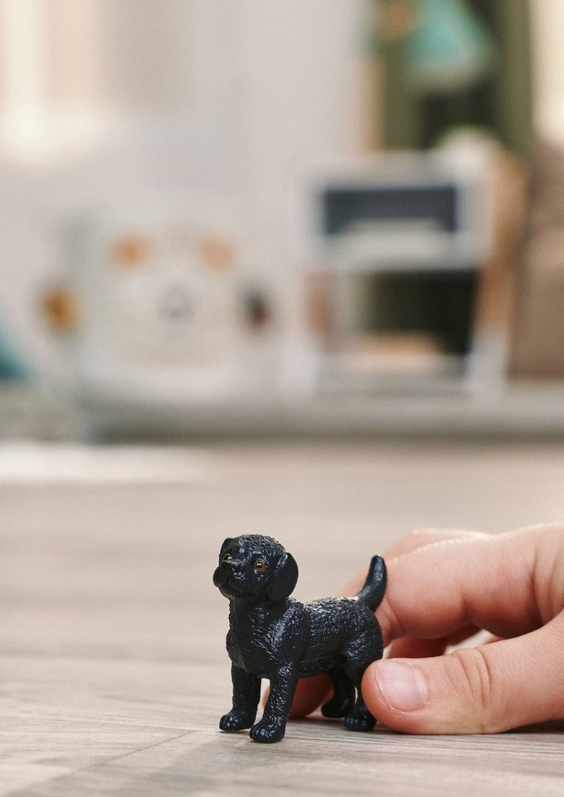 Zvířátko - Černá fena labradorského retrívra