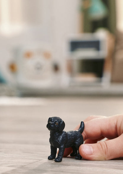 Zvířátko - Černá fena labradorského retrívra