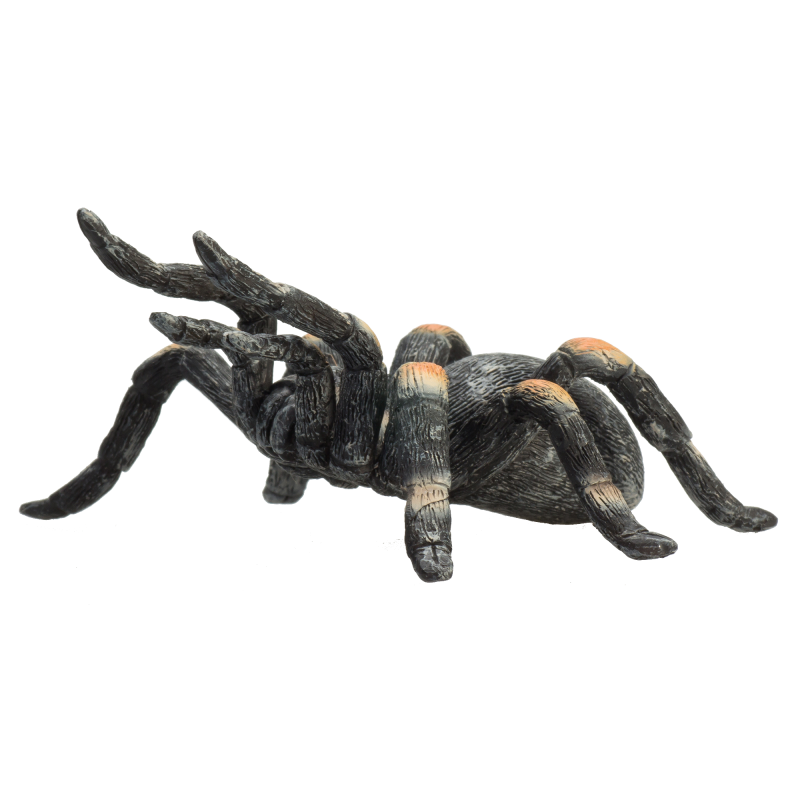 Tarantule rudokrká figurka