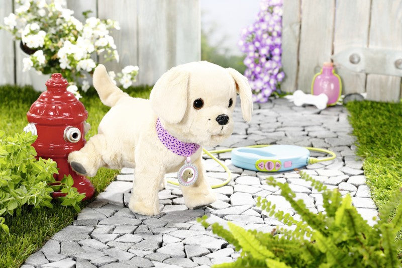 BABY born Můj veselý pejsek s přepravním boxem