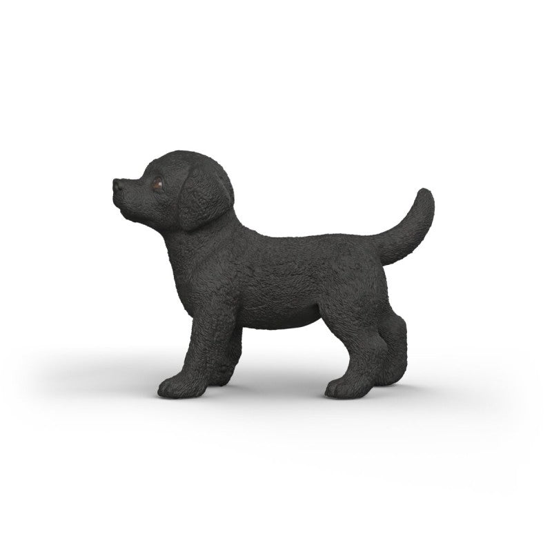 Zvířátko - Černé štěně labradorského retrívra