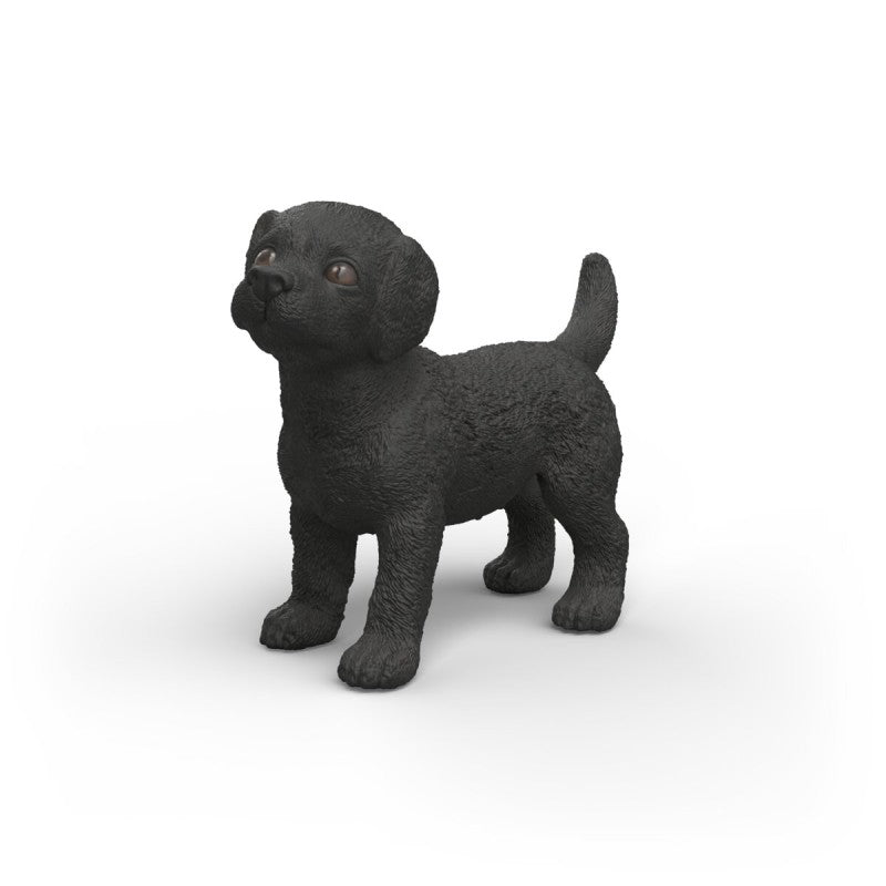 Zvířátko - Černé štěně labradorského retrívra