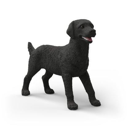 Zvířátko - Černá fena labradorského retrívra