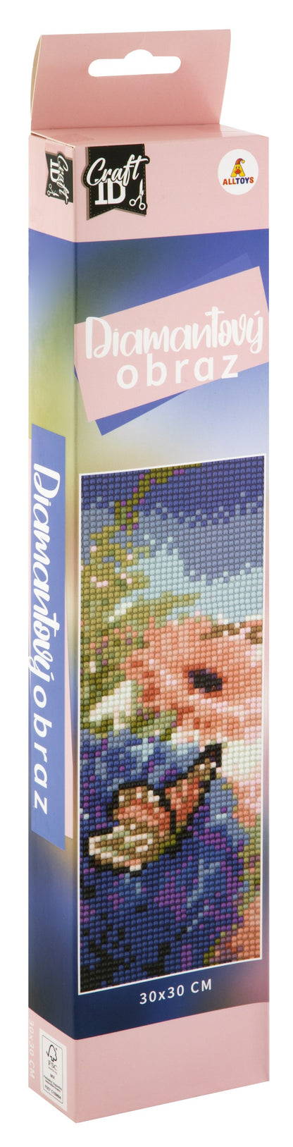 Diamantové malování 30x30cm motýlci
