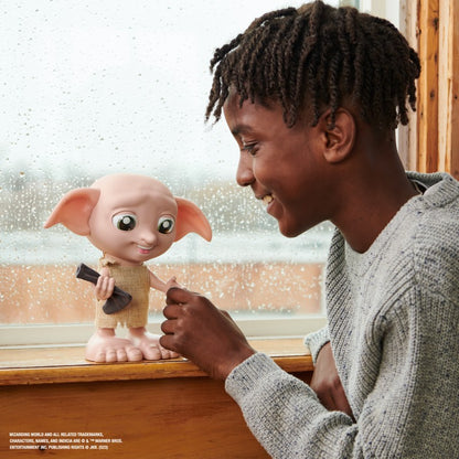 Harry Potter kouzelný mluvící Dobby