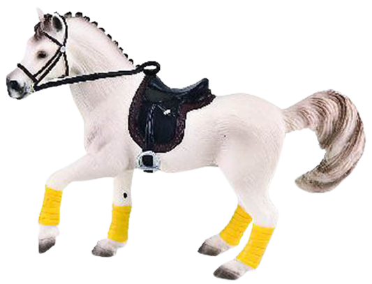 Arabská kobyla