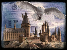 Puzzle 3D Harry Potter Bradavice a Hedvika 500  dílků