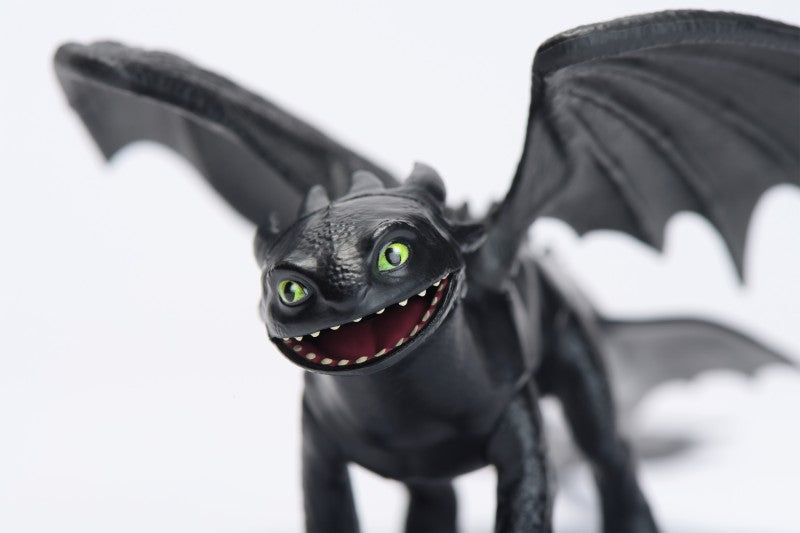 Jak vycvičit draka základní draci Bezzubka