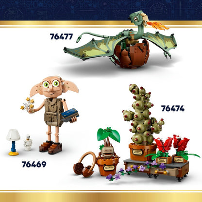 LEGO® Harry Potter™ 76462 Erb bradavických kolejí