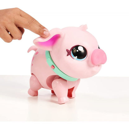 Little Live Pets prasátko PIGGLY