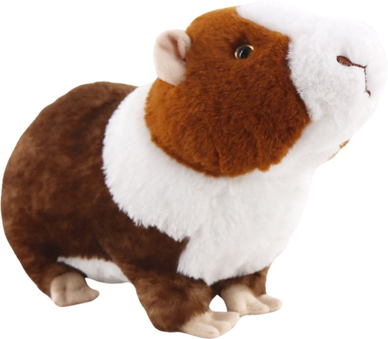 Morče 30 cm