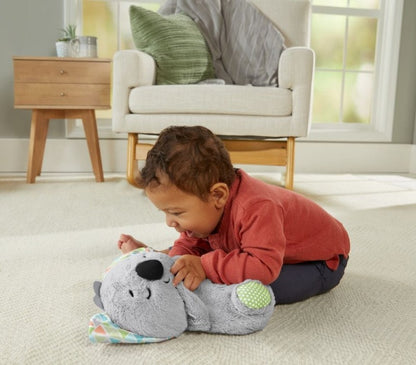 Fisher Price uklidňující koala s melodiemi