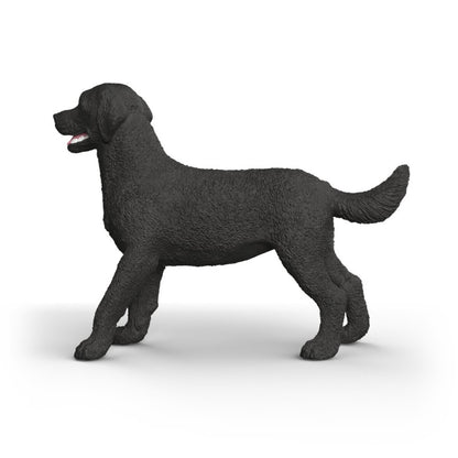 Zvířátko - Černá fena labradorského retrívra