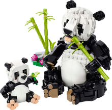 LEGO® Creator 3 v 1 31165 Divoká zvířata: Pandí rodinka