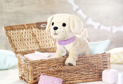 BABY born Můj veselý pejsek s přepravním boxem