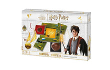 Harry Potter Famfrpál - rodinná společenská hra