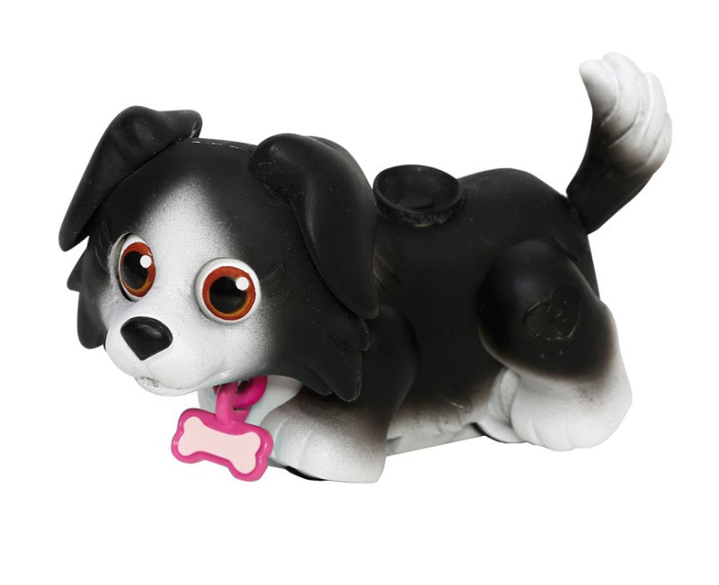 Pet Parade, 1ks Husky