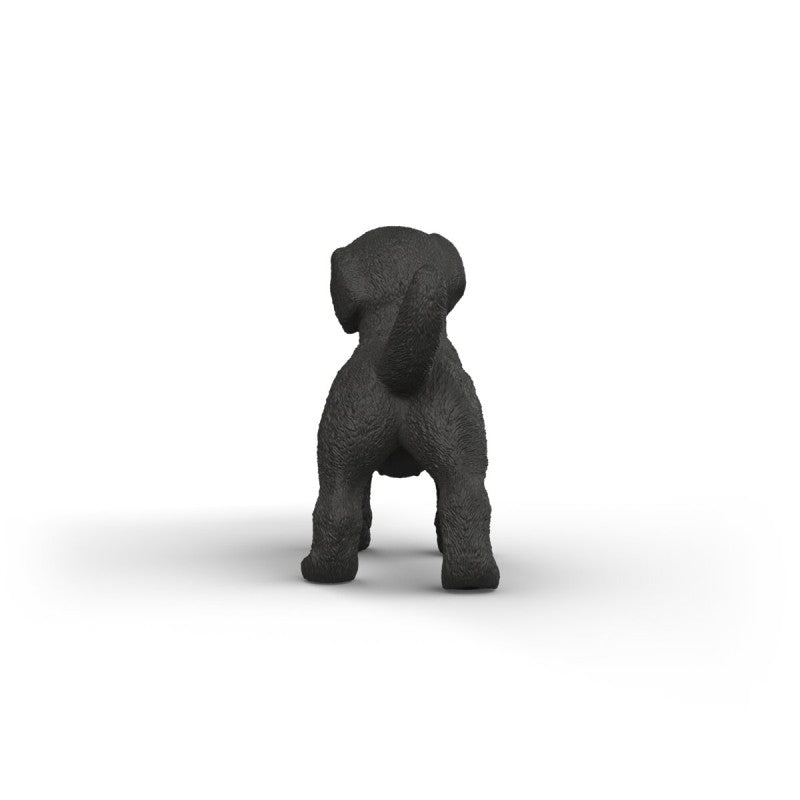 Zvířátko - Černé štěně labradorského retrívra
